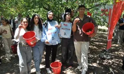 Üreticiler bahçede kıran kırana yarıştı! Konya’nın dünyaca ünlü lezzetinde hasat başladı