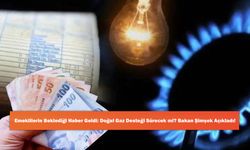 Emeklilerin Beklediği Haber Geldi: Doğal Gaz Desteği Sürecek mi? Bakan Şimşek Açıkladı!