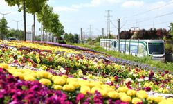 Cıvıl cıvıl Konya sokaklarını görenler dönüp bir daha bakıyor!