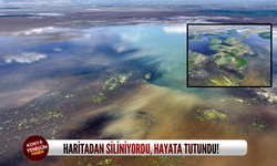 Konya'daki göl, haritadan siliniyordu, hayata tutundu!