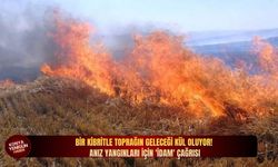 Bir kibritle toprağın geleceği kül oluyor! Anız yangınları için 'idam' çağrısı!