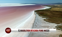 İç Anadolu'nun ortasında pembe mucize!