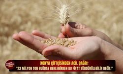Konya çiftçisinden acil çağrı: 23 milyon ton buğday beklenirken bu fiyat sürdürülebilir değil!