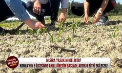 Mısıra yasak mı geliyor? Konya’nın 5 ilçesinde akıllı üretim başladı, artık o bitki ekilecek!
