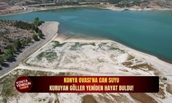 Konya Ovası'na can suyu: Kuruyan göller yeniden hayat buldu!