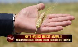 Konya Ovası’nda bereket patlaması: Son 3 yılın kuraklığından sonra tarihi rekor geliyor!