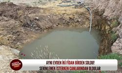 Aynı evden i̇ki fidan birden soldu! Serinlemek isterken canlarından oldular