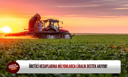 Üretici hesaplarına milyonlarca liralık destek akıyor!