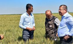 Konya’da dolu afetinin yaraları sarılıyor: Yetkililer sahaya indi!
