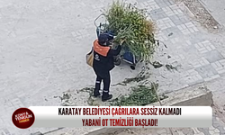Karatay Belediyesi çağrılara sessiz kalmadı: Yabani ot temizliği başladı!