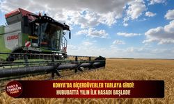 Konya’da biçerdöverler tarlaya girdi: Hububatta yılın ilk hasadı başladı!