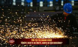 TÜİK tek tek rakam verdi! Türkiye 2025'te ne üretti, Konya bu işin neresinde?