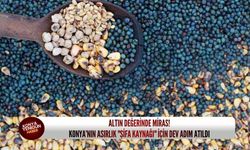 Altın değerinde miras! Konya’nın asırlık "şifa kaynağı" için dev adım atıldı