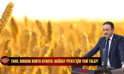 Tahıl ambarı Konya ayakta: Buğday fiyatı için yeni talep!