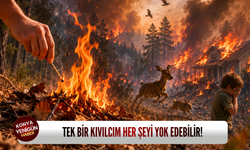 Tek bir kıvılcım her şeyi yok edebilir!