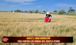 Konya İl Tarım Müdürlüğü tarla kontrolleri sonrası acil koduyla uyardı!