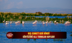 Kuş cenneti geri döndü: Gökyüzünü allı turnalar kapladı!
