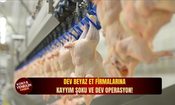 Dev beyaz et firmalarına kayyım şoku ve dev operasyon!