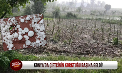 Konya’da çiftçinin korktuğu başına geldi!
