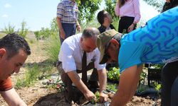 Konya'da yaşlılar hobi bahçesinde hayat buldu