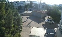 Sanayi sitesinde sıra dışı olay: Teldeki kuşlar büyük bir felaketi tetikliyordu