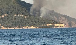 Büyükada’da korkutan dakikalar: Ünlü plajda çıkan yangın ekipleri harekete geçirdi
