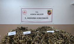 Konya’da 15 günlük takip kilolarca uyuşturucu maddeyi ortaya çıkardı