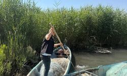Konya'nın denizi Beyşehir’de balıkçılara sıkı takip!