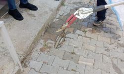 Evde yılan şoku! İtfaiye ekipleri dakikalar içinde harekete geçti