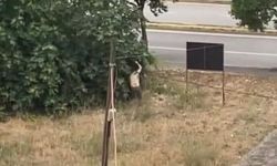 Dehşete düşüren olay! Yeğeninin palalı saldırısında amca hayatını kaybetti