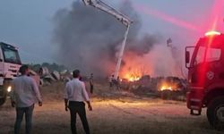 Afyon'da korkutan yangın! Otluk alanda başlayan alevler fabrika bahçesine sıçradı