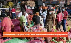 Küresel Gıda Krizi Kapıda: 2028'e Kadar Beklenen Gelişmeler Endişe Uyandırdı!