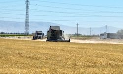 Selçuklu'da yıllardır boş duran arazilerden ilk hasat geldi