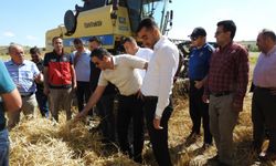 Beyşehir’de hasat kontrolleri yapılıyor