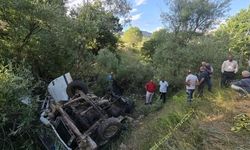 Bingöl’de feci uçurum kazası: 3 kişi hayatını kaybetti, 2 kişi yaralandı