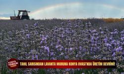 Tahıl sarısından lavanta moruna: Konya Ovası’nda üretim devrimi!