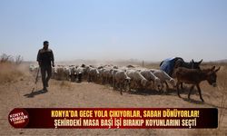 Konya’da gece yola çıkıyorlar, sabah dönüyorlar: Şehirdeki masa başı işi bırakıp koyunlarını seçti!