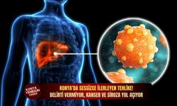 Konya’da sessizce ilerleyen tehlike! Belirti vermiyor, kanser ve siroza yol açıyor