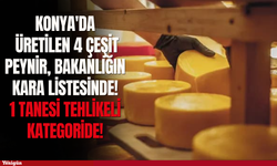 Konya'da üretilen 4 çeşit peynir, bakanlığın kara listesinde!
