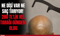 Ne dişi var ne saç tarıyor! 280 TL'lik kel tarağı gündem oldu