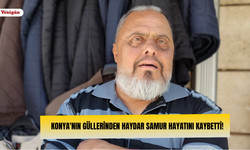 Konya'nın Güllerinden Haydar Samur hayatını kaybetti!