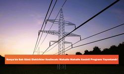 Konya'da Salı Günü Elektrikler Kesilecek: Mahalle Mahalle Kesinti Programı Yayımlandı!