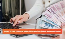 500 Bin TL Kredi Çekecekler Dikkat: 12 Ay Vadeli Geri Ödeme Tablosu Güncellendi!