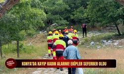 Konya'da gizemli kayıp: Hayvan otlatmaya çıkan kadından haber alınamıyor