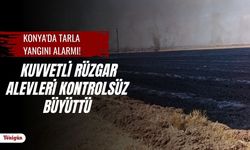 Konya'da tarla yangını alarmı! Kuvvetli rüzgar alevleri büyüttü, ekipler seferber oldu