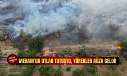 Meram'da otlar tutuştu, yürekler ağza geldi!