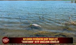 Katliamın fotoğrafını çekip ihbar etti: "Sıcaktandır" deyip arkalarını döndüler!