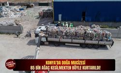 Konya’da doğa mucizesi: 85 bin ağaç kesilmekten böyle kurtarıldı!
