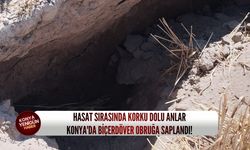 Hasat sırasında korku dolu anlar: Konya'da biçerdöver obruğa saplandı!