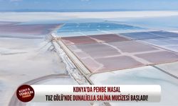 Konya'da pembe masal: Tuz Gölü’nde dunaliella salina mucizesi başladı!